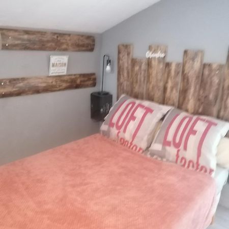 Ferienwohnung Chambre 23M2 Avec Jardin Wi-Fi Gratuit Saint-Girons Exterior foto