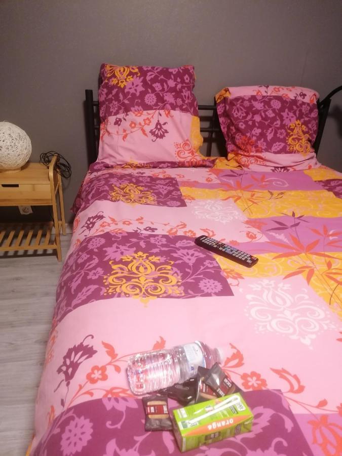 Ferienwohnung Chambre 23M2 Avec Jardin Wi-Fi Gratuit Saint-Girons Exterior foto